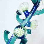 PLANTE CORAIL BLEUE COLLAB WILLIAM (2)